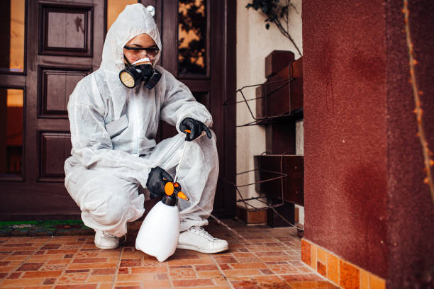 Reliable Wasp Removal contractor in Skippers Corner, NC by Show Me Pest Control